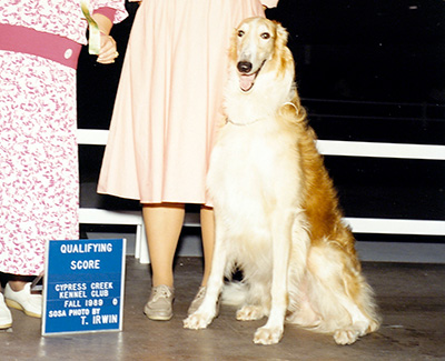 Top Obedience Borzoi 1989